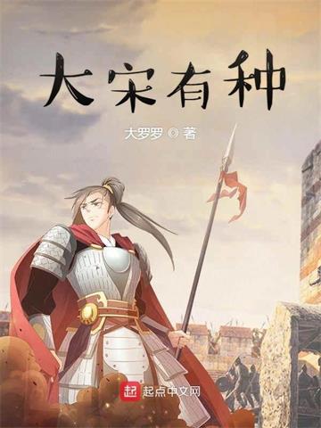 大宋有种 | 大罗罗 | 大宋有种TXT下载 | 小说完结精校 | 听风雨阅读