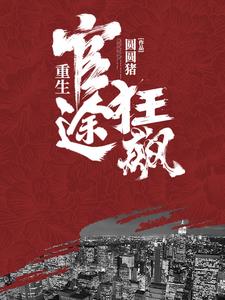 重生：官途狂飙 | 圆圆猪 | 重生：官途狂飙TXT下载 | 小说完结精校 | 听风雨阅读