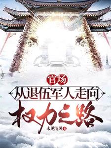 《官场：从退伍军人走上权力之路》连载 (1-1383章) 作者：未见清风-听风雨阅读