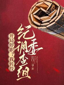 《开局停职？我转投市纪委调查组》连载 (1-2630章) 作者：江门二爷-听风雨阅读