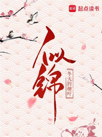 似锦 | 冬天的柳叶 | 似锦TXT下载 | 小说完结精校 | 听风雨阅读