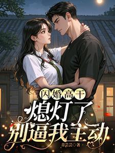 《闪婚高干：熄灯了，别逼我主动》连载 (1-540章) 作者：青芸芸-听风雨阅读