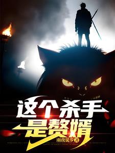 《这个杀手是赘婿》连载 (1-1417章) 雨夜徒步-听风雨阅读