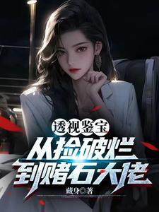 《透视神瞳：从捡漏开始暴富》连载 (1-1869章) 藏身-听风雨阅读