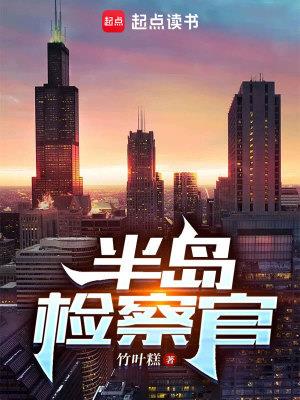 《半岛检察官》连载 (1-38章) 竹叶糕-听风雨阅读