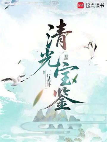 《清光宝鉴》连载 (1-84章) 一片苏叶-听风雨阅读