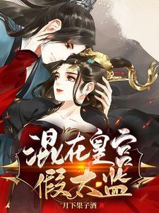 《混在皇宫假太监》连载 (1-1105章) 月下果子酒-听风雨阅读