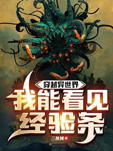 《穿越异世界，我能看见经验条》连载 (1-395章) 三条河-听风雨阅读
