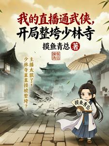 《我的直播通武侠，开局整垮少林寺》连载 (1-216章) 摸鱼青总-听风雨阅读