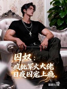 《囚奴：疯批军火大佬日夜囚宠上瘾》连载 (1-336章) 慕晨阳-听风雨阅读