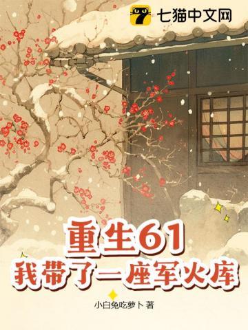 《重生61，我带了一座军火库》连载 (1-1001章) 小白兔吃萝卜-听风雨阅读