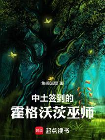 《中土签到的霍格沃茨巫师》连载 (1-473章) 集美流星-听风雨阅读