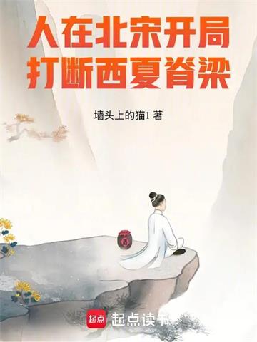 《人在北宋，开局打断西夏脊梁！》连载 (1-127章) 墙头上的猫1-听风雨阅读